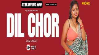 Dil Chor 2024 Neonx Originals Hindi Uncut XXX Video – porn movies