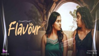 Flavour 2024 Primeshots Hindi XXX Web Series Episode 1 – porn movies