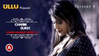 Charmsukh Jane Anjane Mein 6 2023 Ullu XXX Web Series Ep 3 – porn movies
