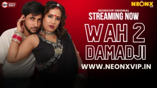 Wah Damad Ji 2 2024 Neonx Vip Hindi Uncut XXX Video – porn movies