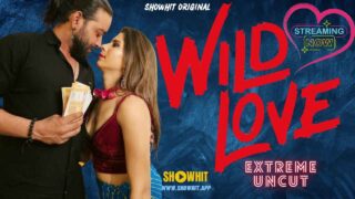 Wild Love 2024 Show Hit Originals Hindi Uncut XXX Video – porn movies